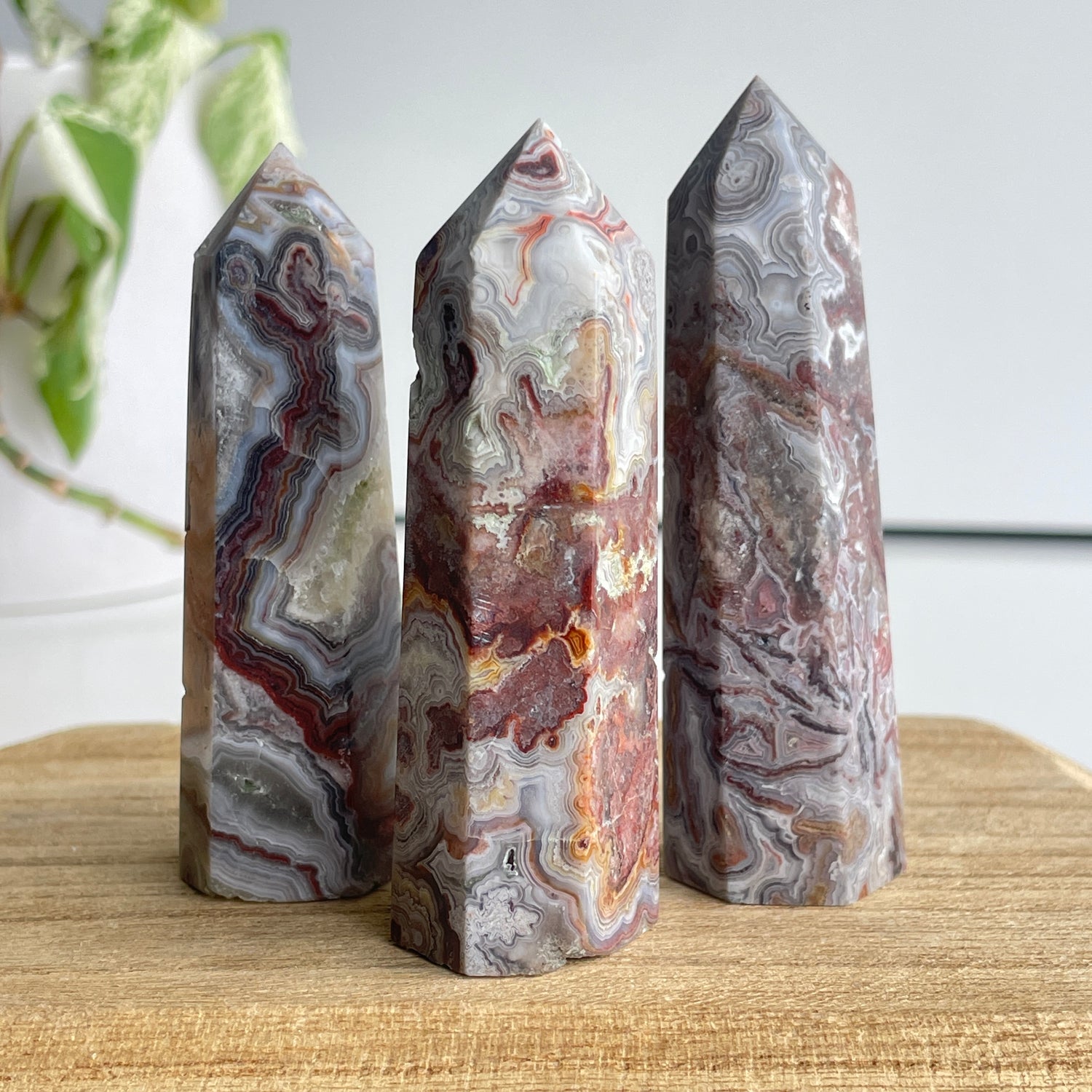 Mexican Lace Agate Generator Medium