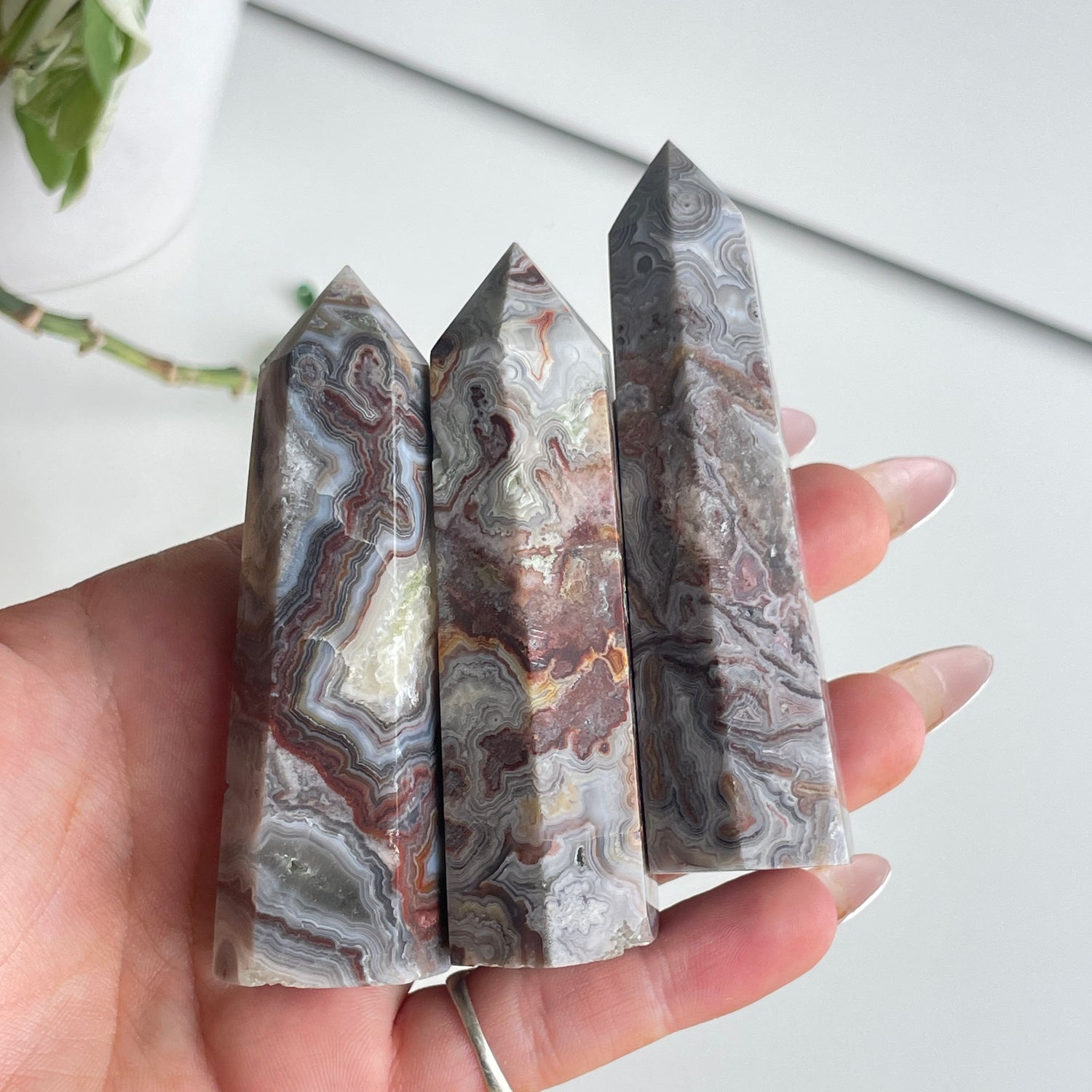 Mexican Lace Agate Generator Medium