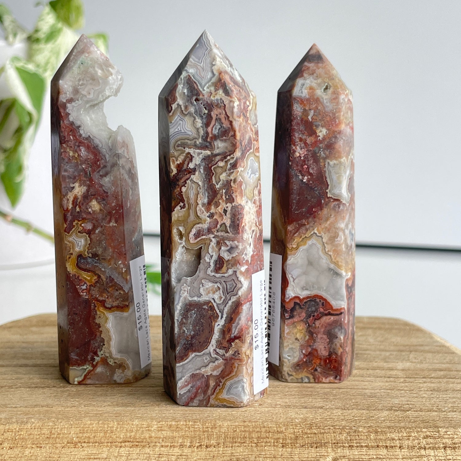 Mexican Lace Agate Generator Large