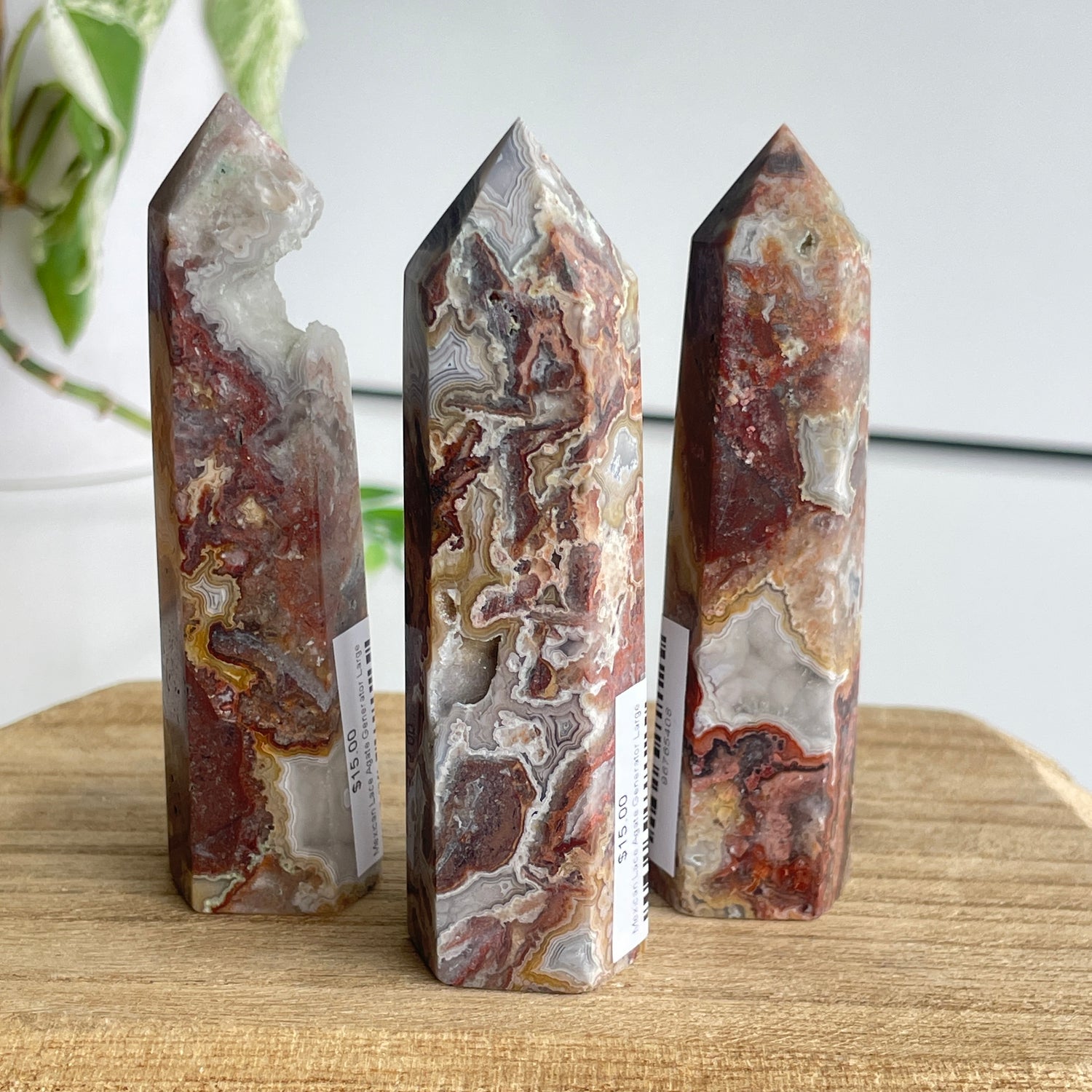 Mexican Lace Agate Generator Large