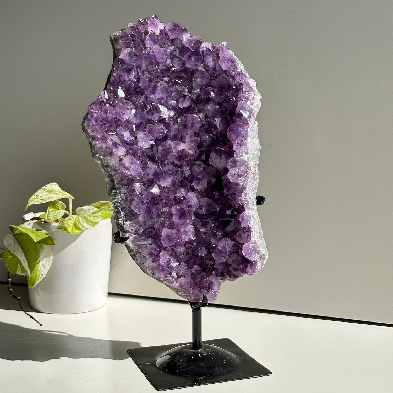 Amethyst Cluster In Stand 5.670kg