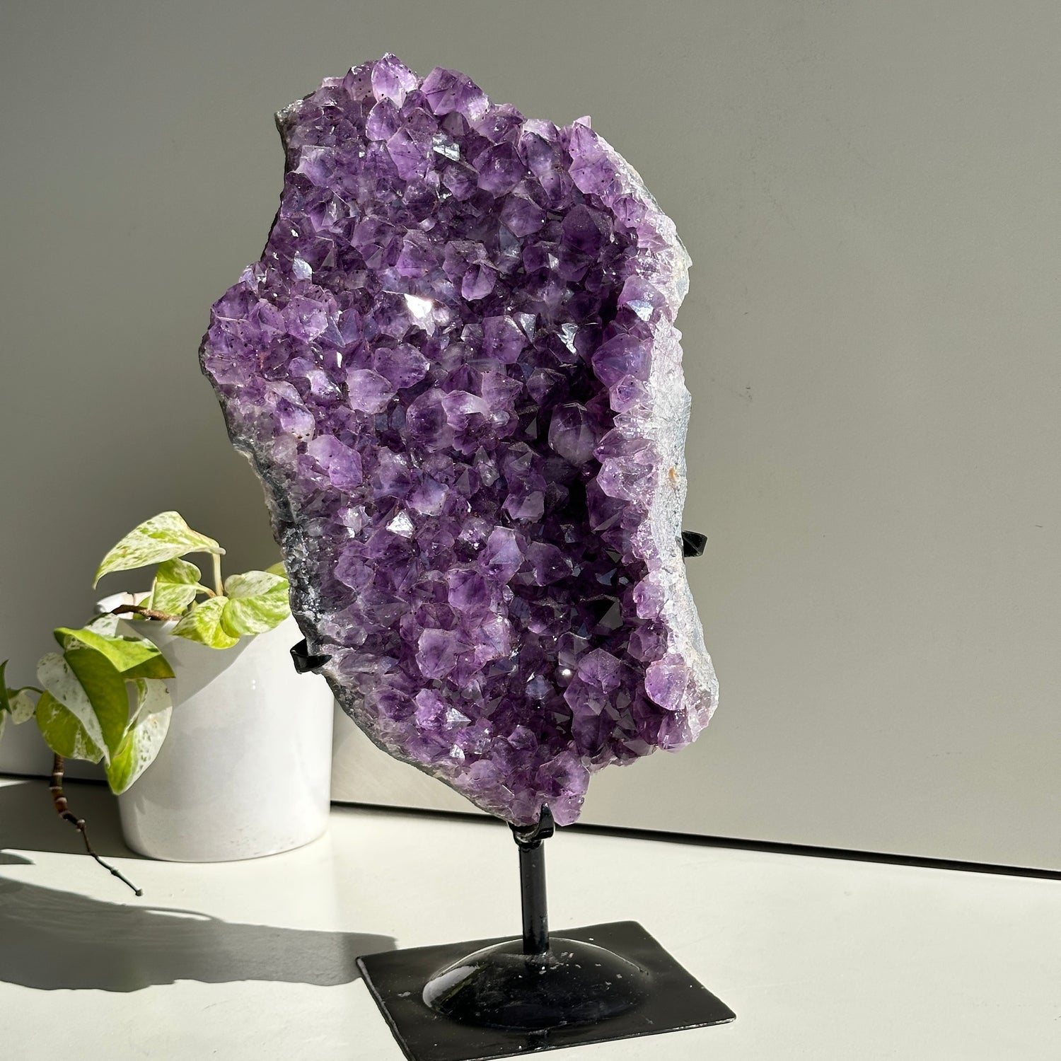 Amethyst Cluster In Stand 5.670kg