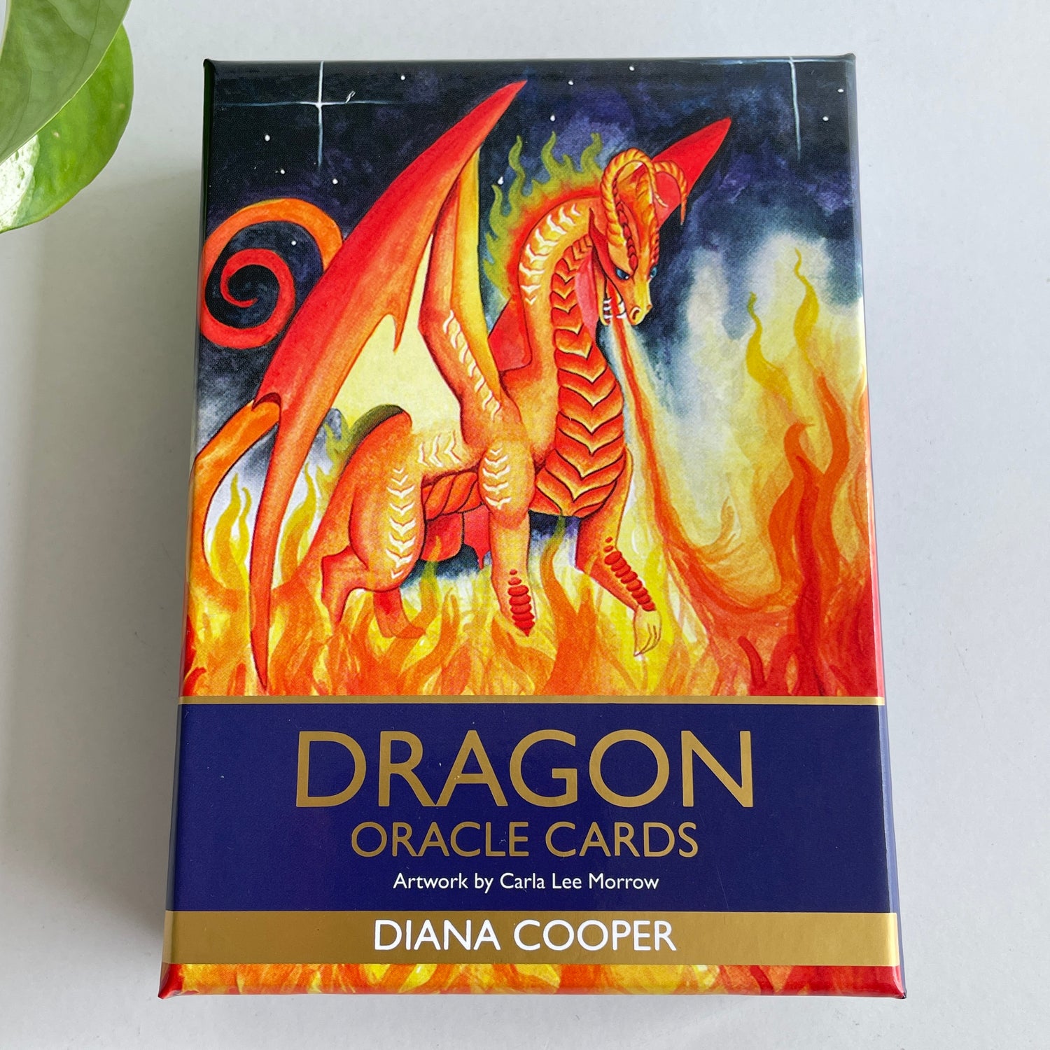 Dragon Oracle Cards Diana Cooper