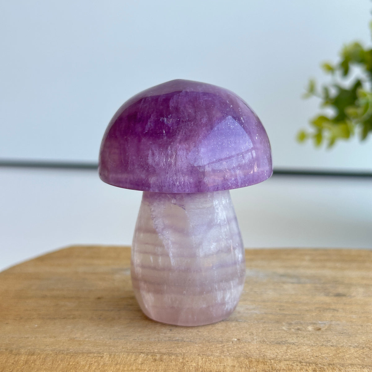 Fluorite Mushroom 7cm