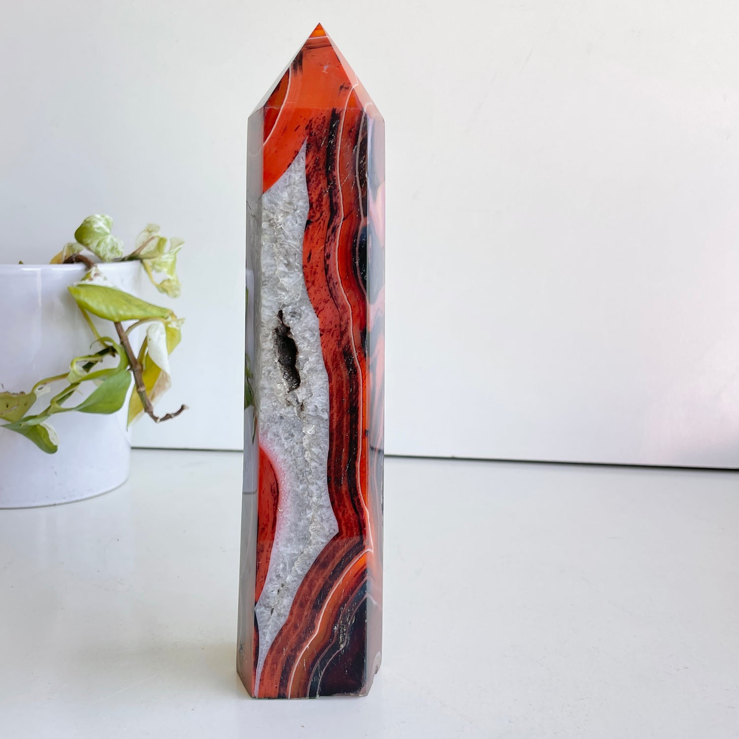 Sardonyx Generator 24.2cm