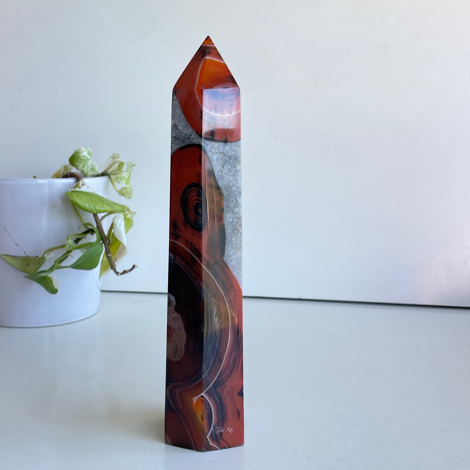 Sardonyx Generator 24.2cm