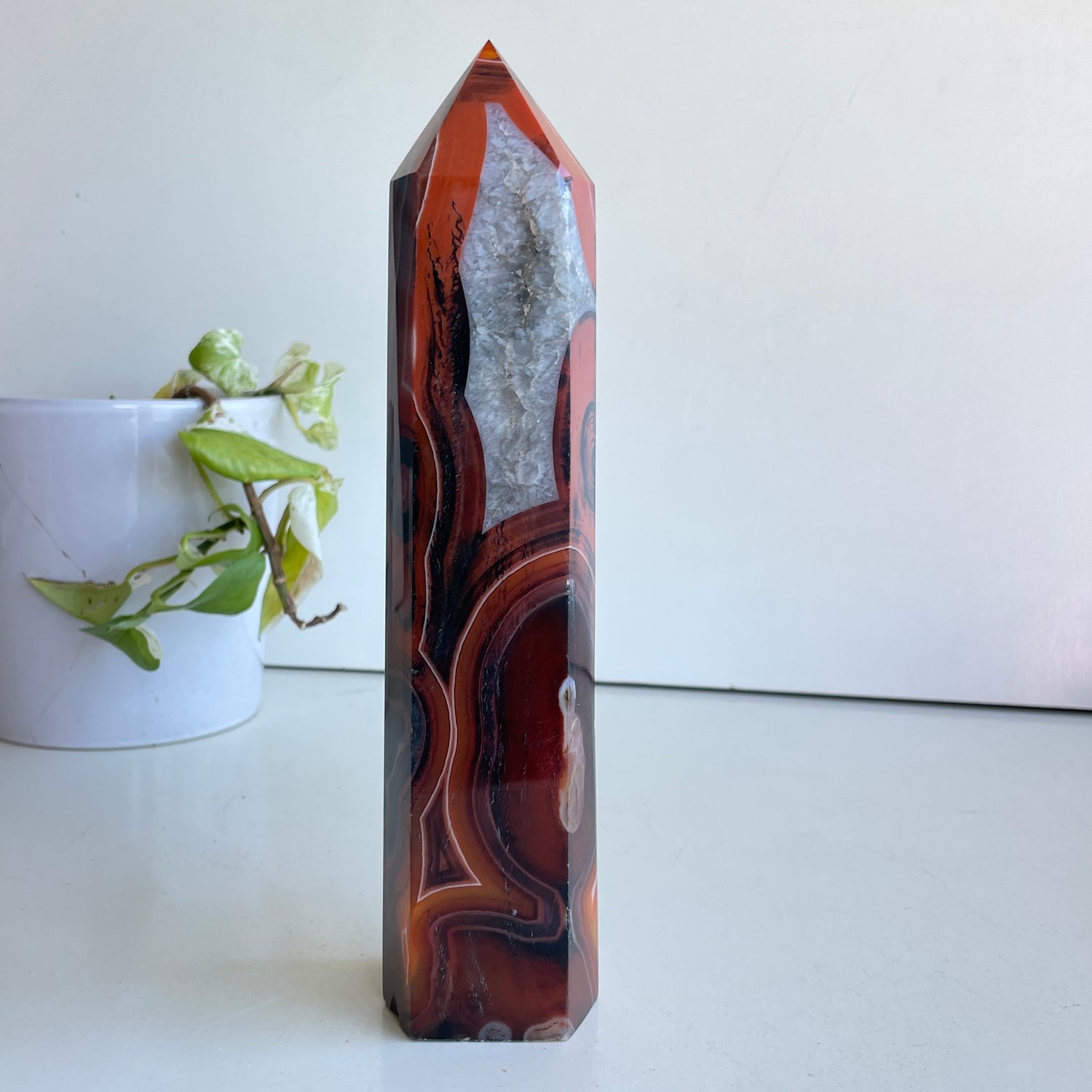 Sardonyx Generator 24.2cm