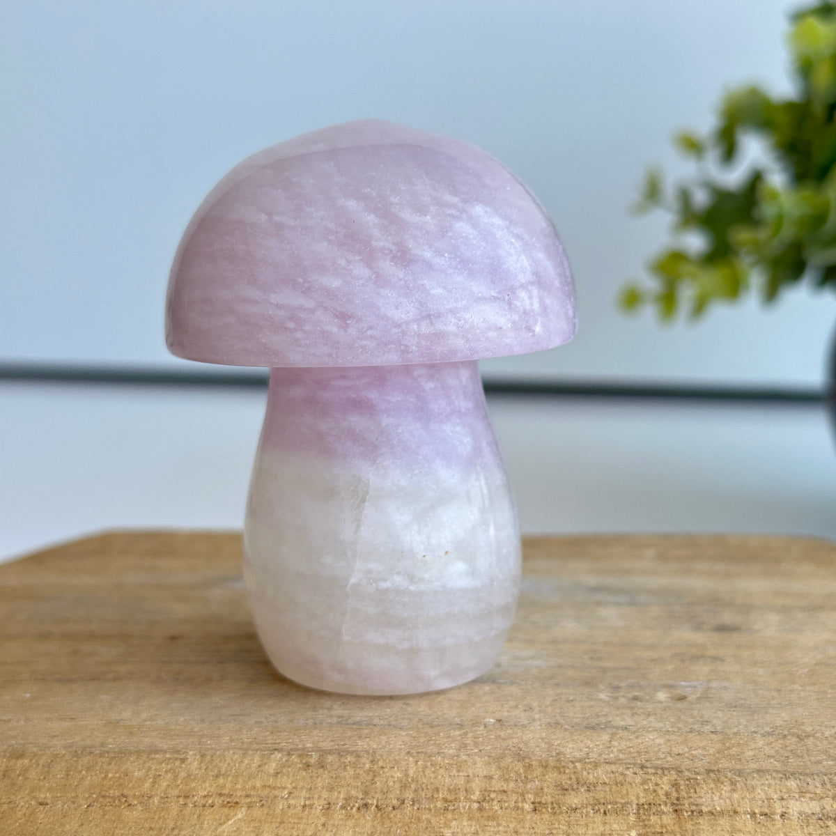 Fluorite Mushroom 7.2cm