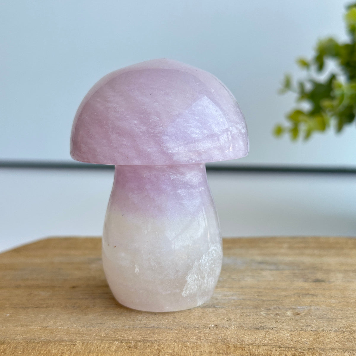 Fluorite Mushroom 7.2cm