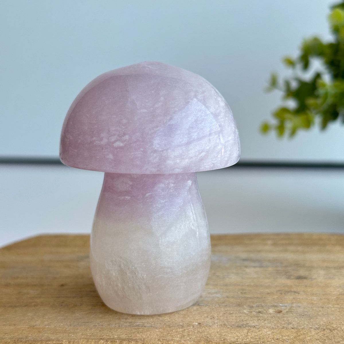 Fluorite Mushroom 7.2cm