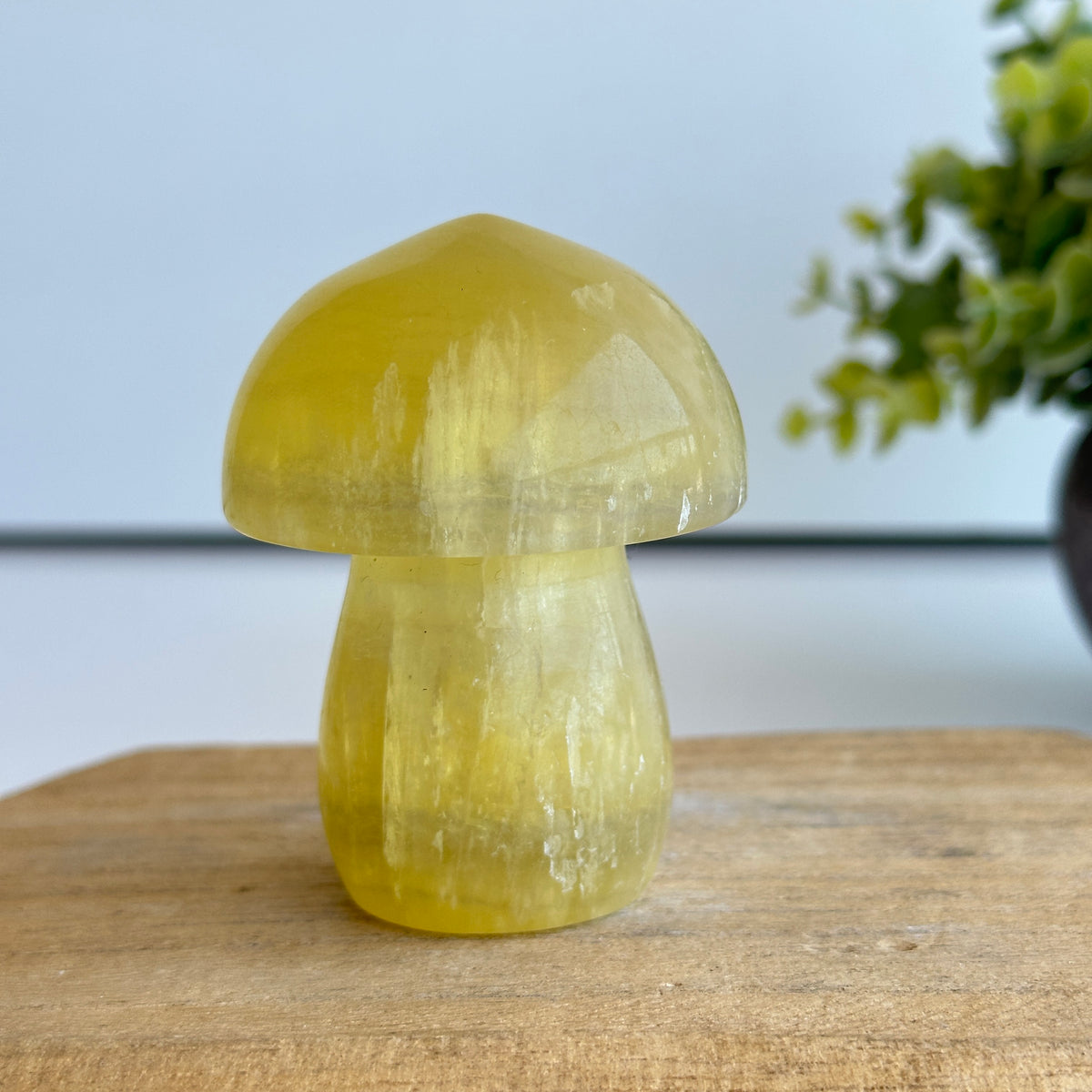 Fluorite Mushroom 7.2cm