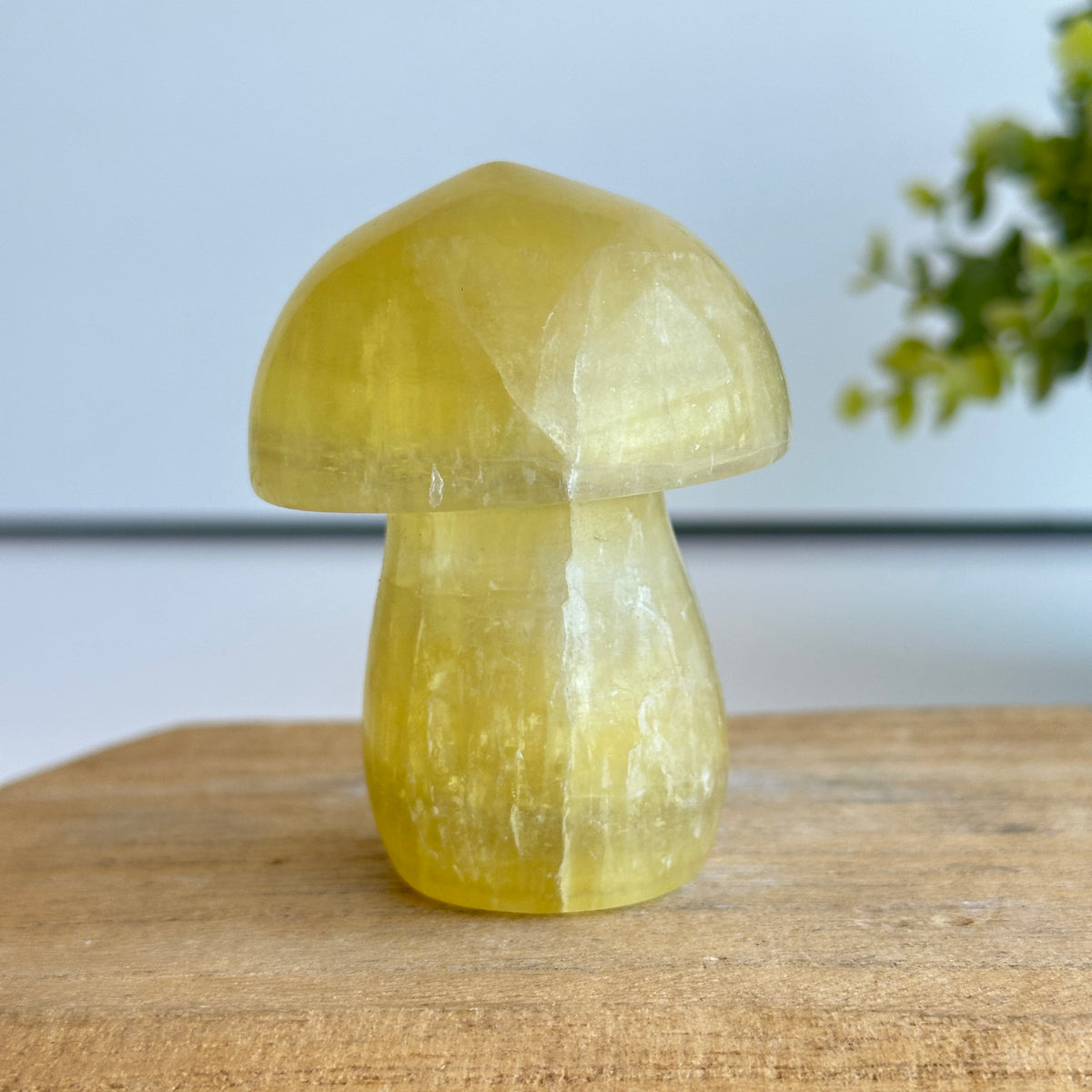 Fluorite Mushroom 7.2cm
