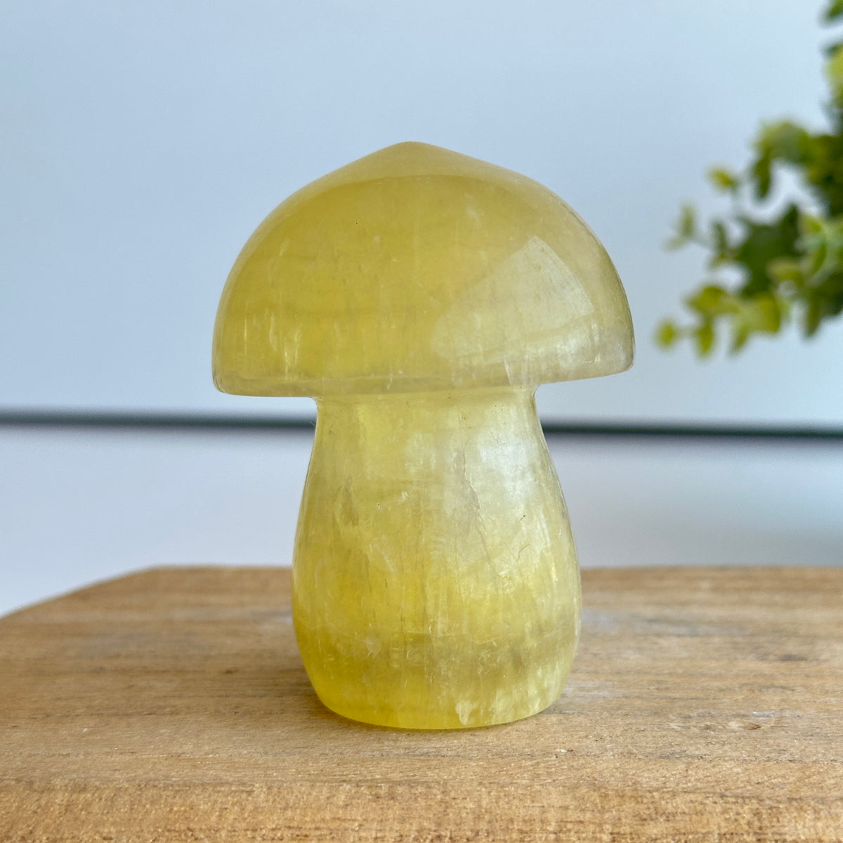 Fluorite Mushroom 7.2cm