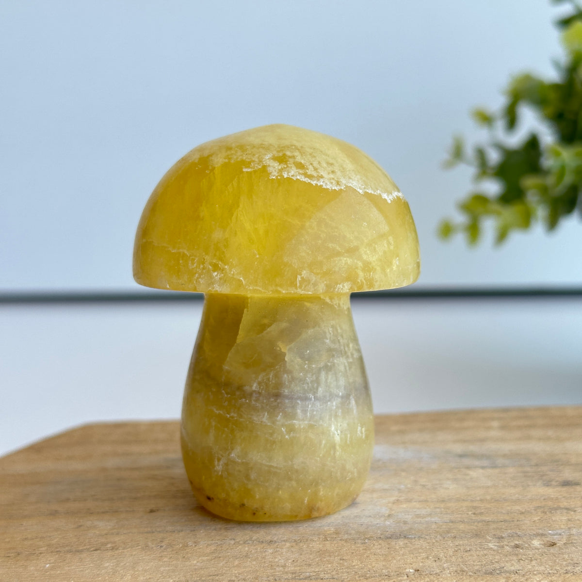 Fluorite Mushroom 7cm