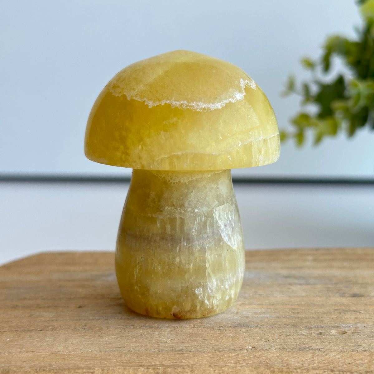 Fluorite Mushroom 7cm