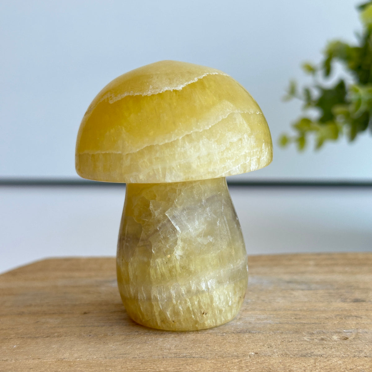 Fluorite Mushroom 7cm