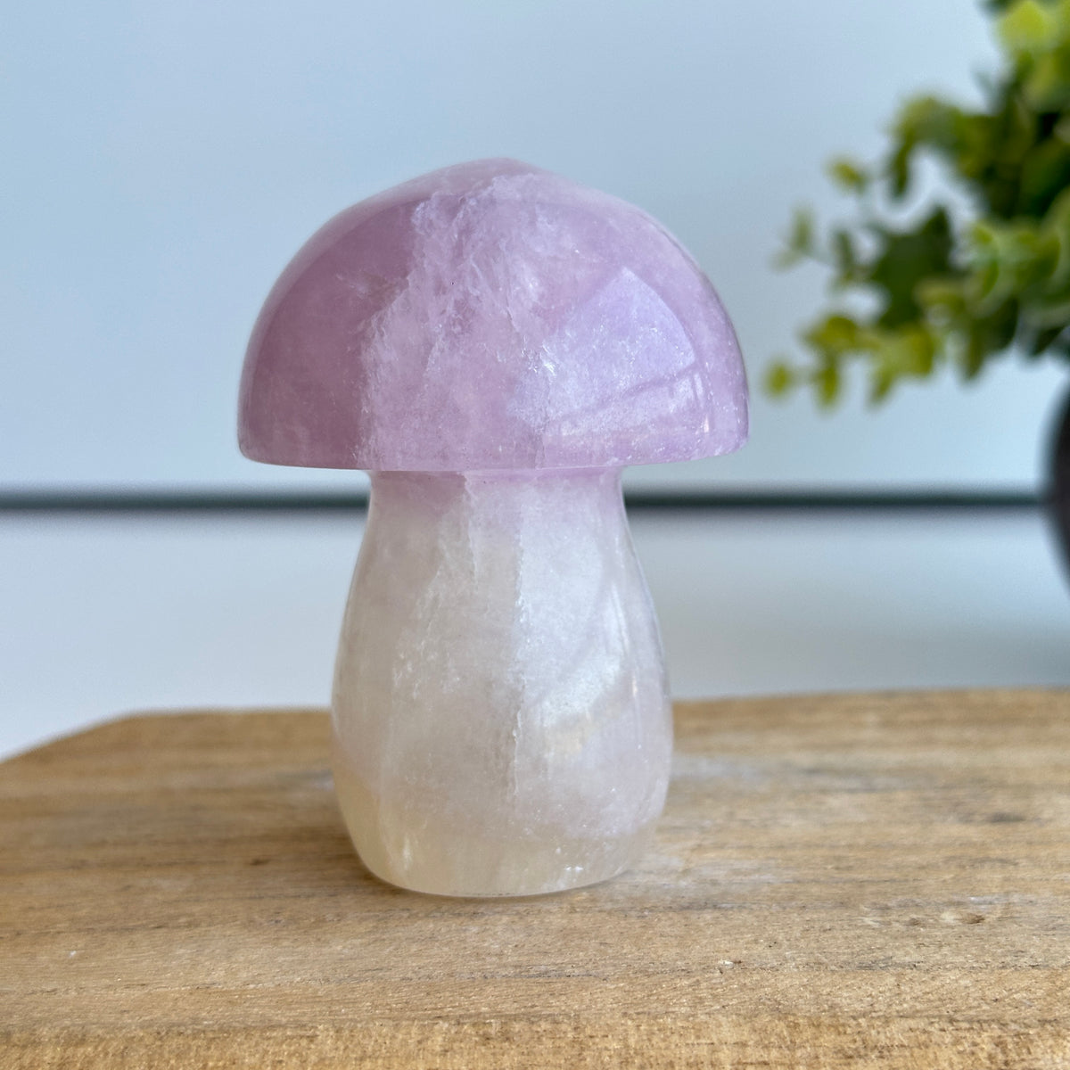 Fluorite Mushroom 7.1cm