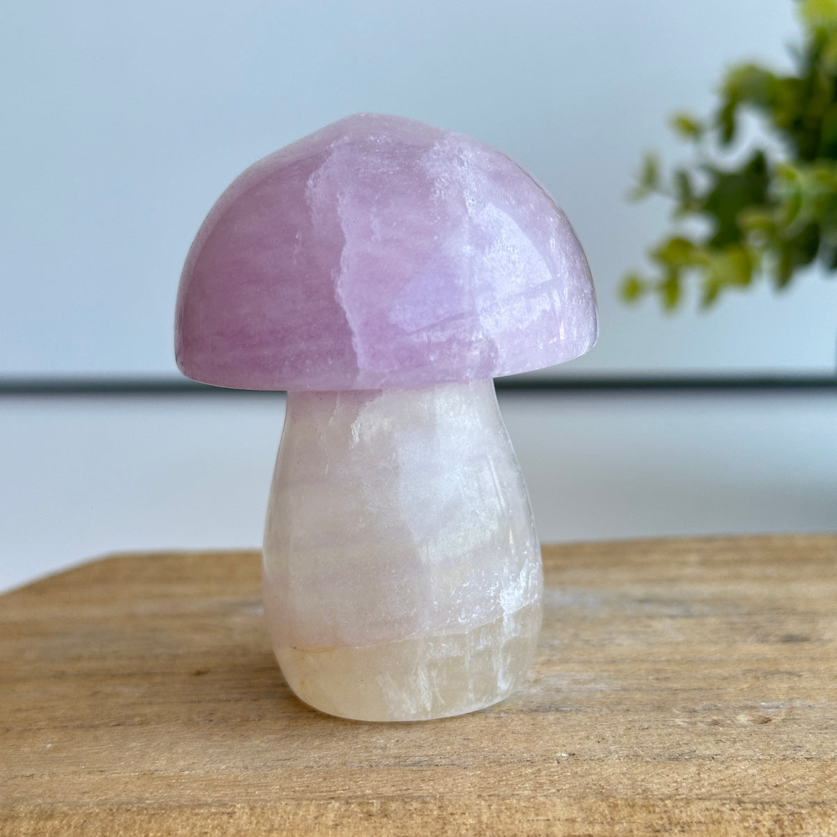 Fluorite Mushroom 7.1cm