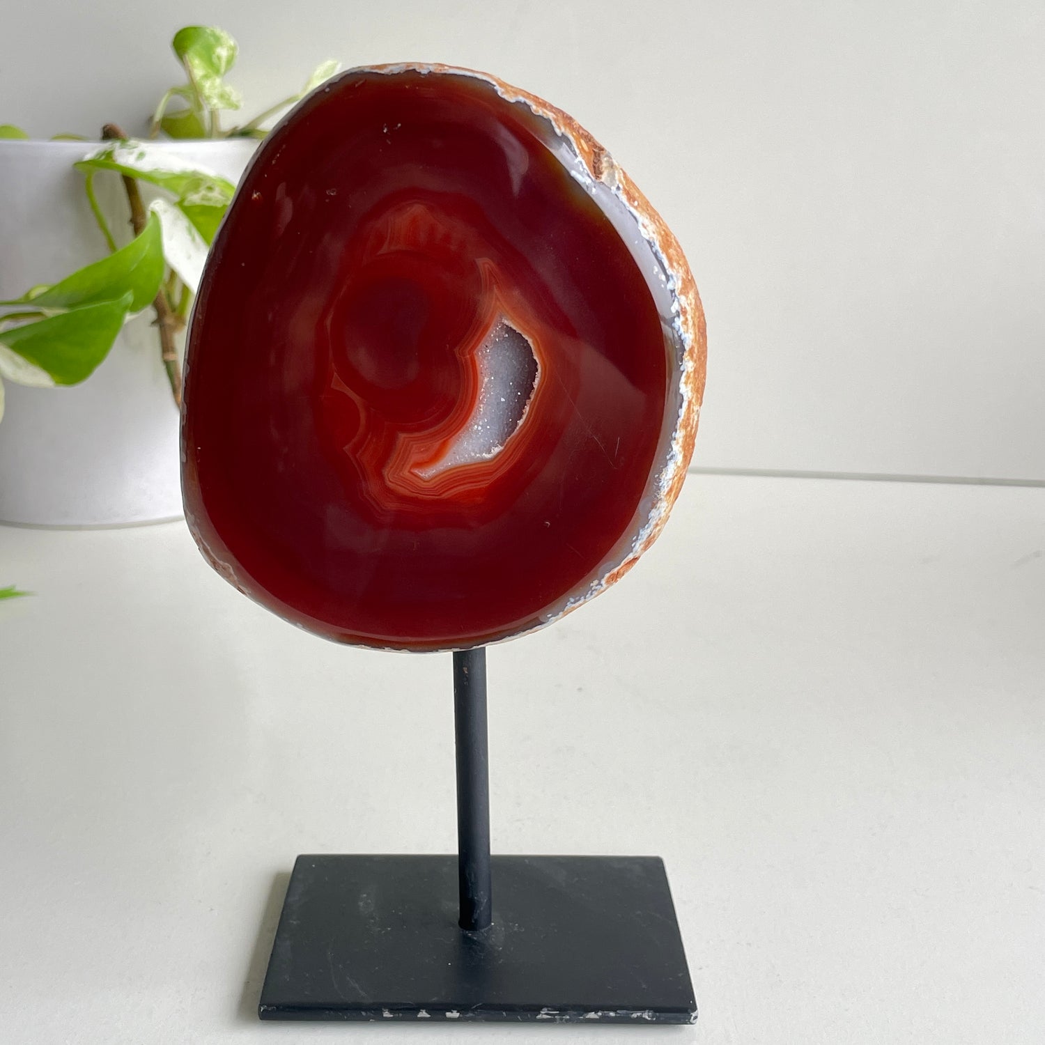 Carnelian Slice In Stand 2