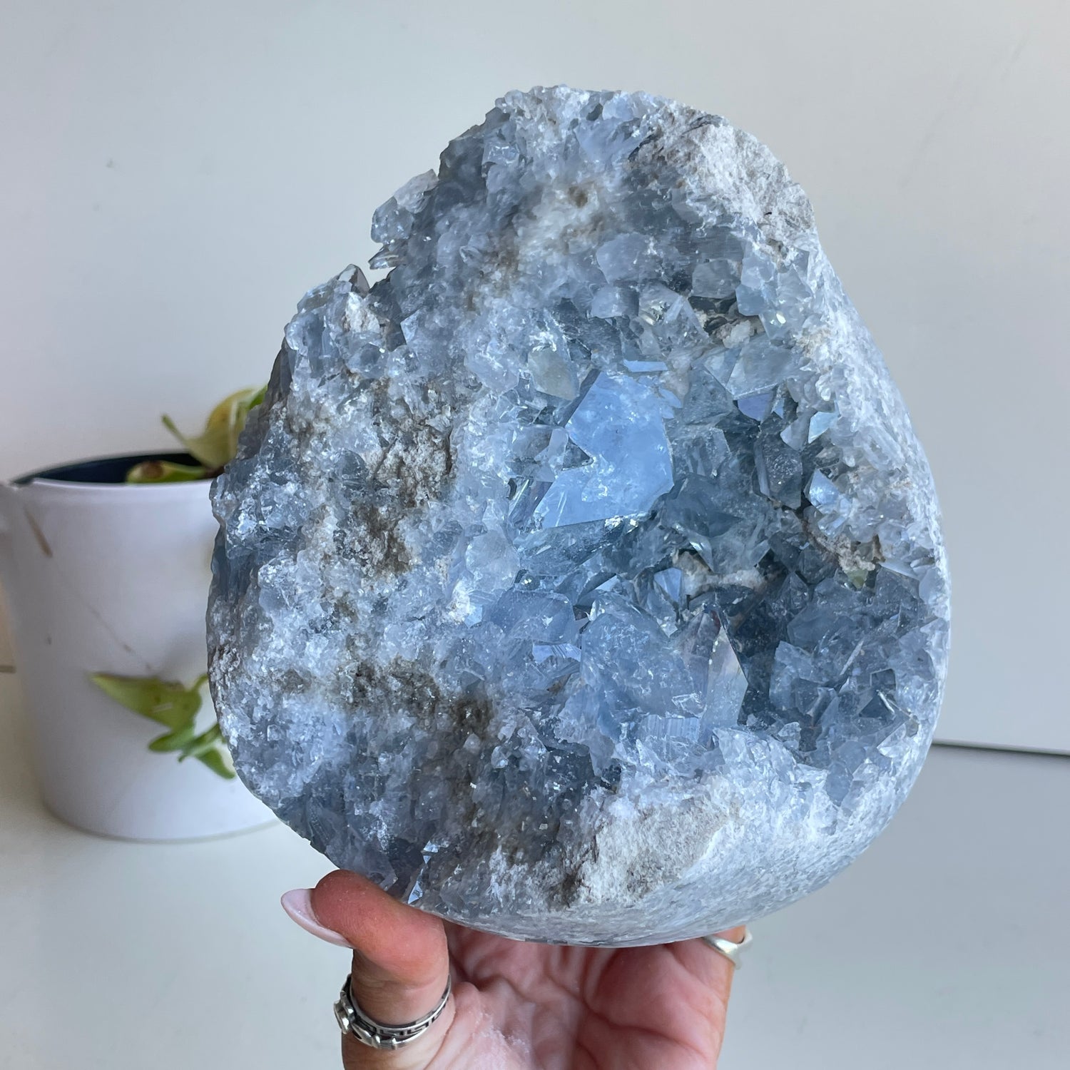 Celestite Cluster 3.612kg