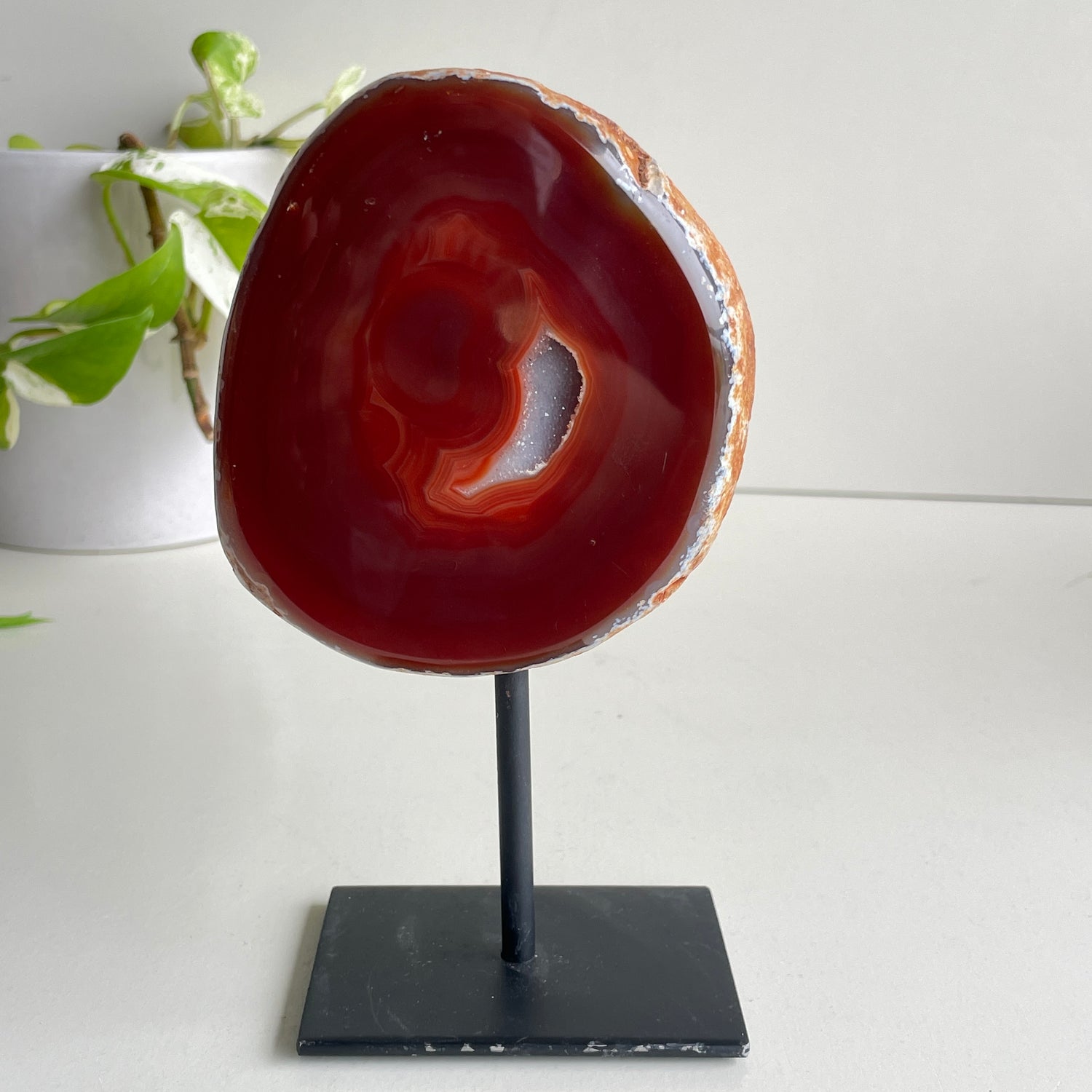 Carnelian Slice In Stand 2