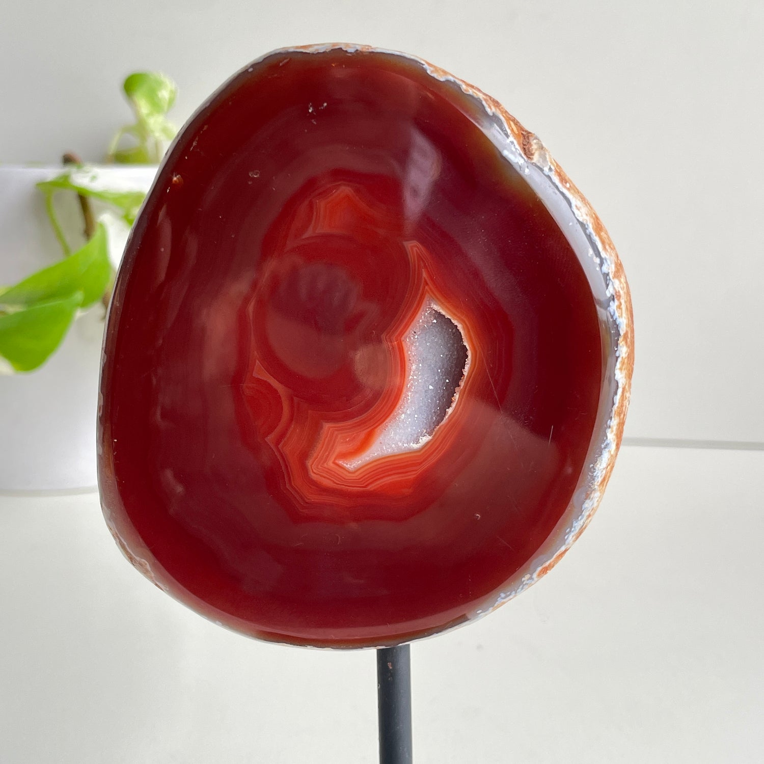 Carnelian Slice In Stand 2