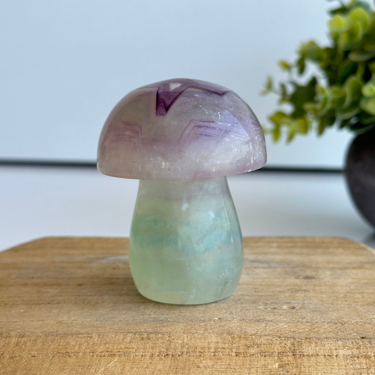 Fluorite Mushroom 7cm