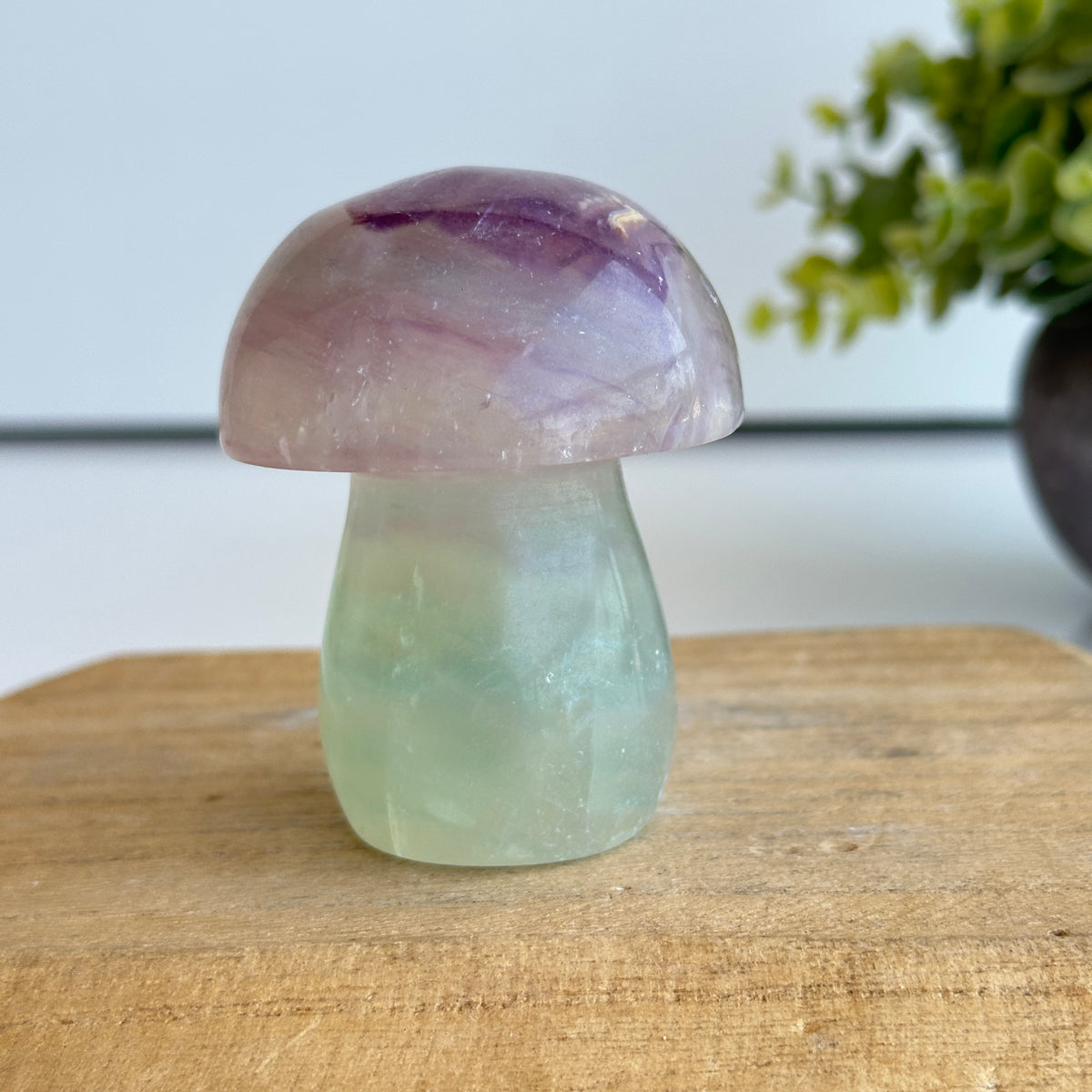 Fluorite Mushroom 7cm