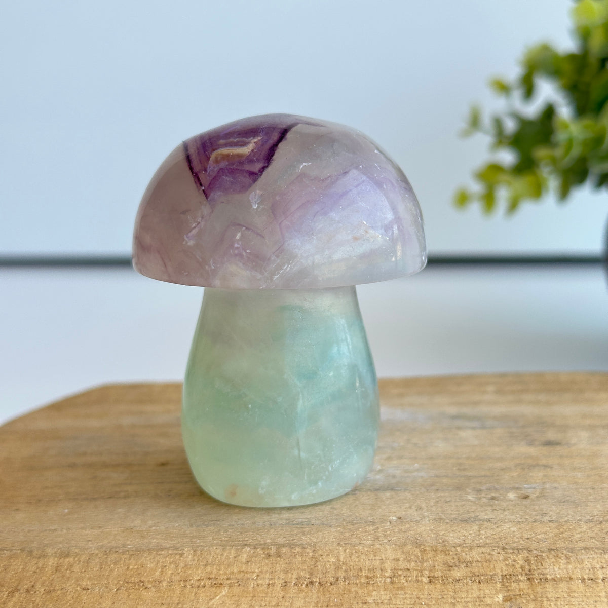 Fluorite Mushroom 7cm
