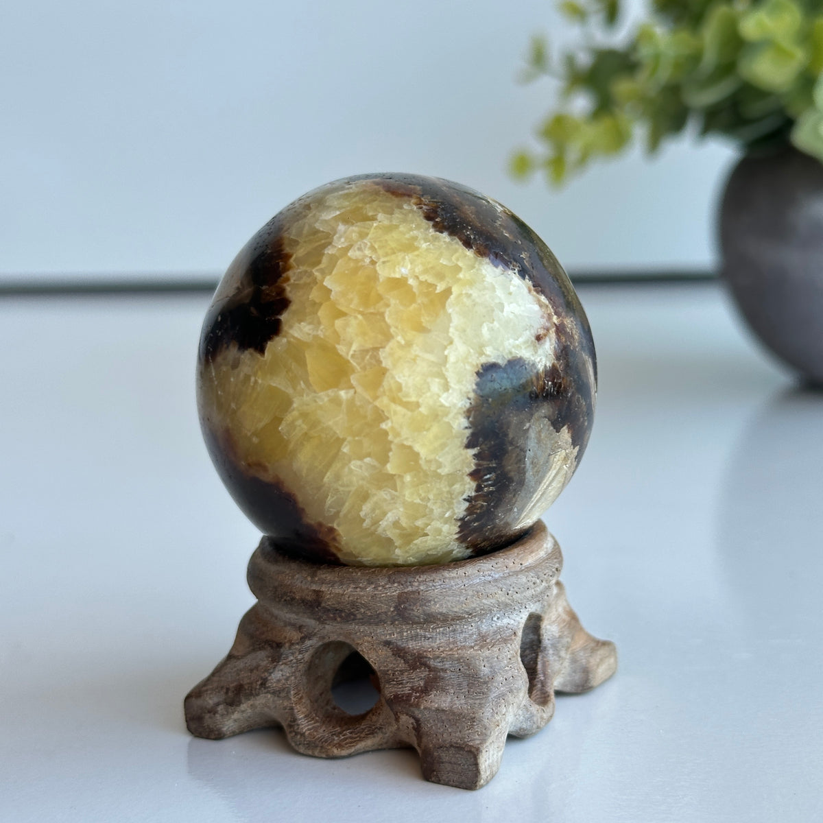Septarian Sphere 4.9cm