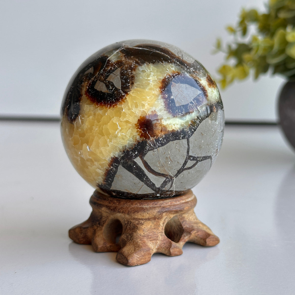 Septarian Sphere 6.5cm