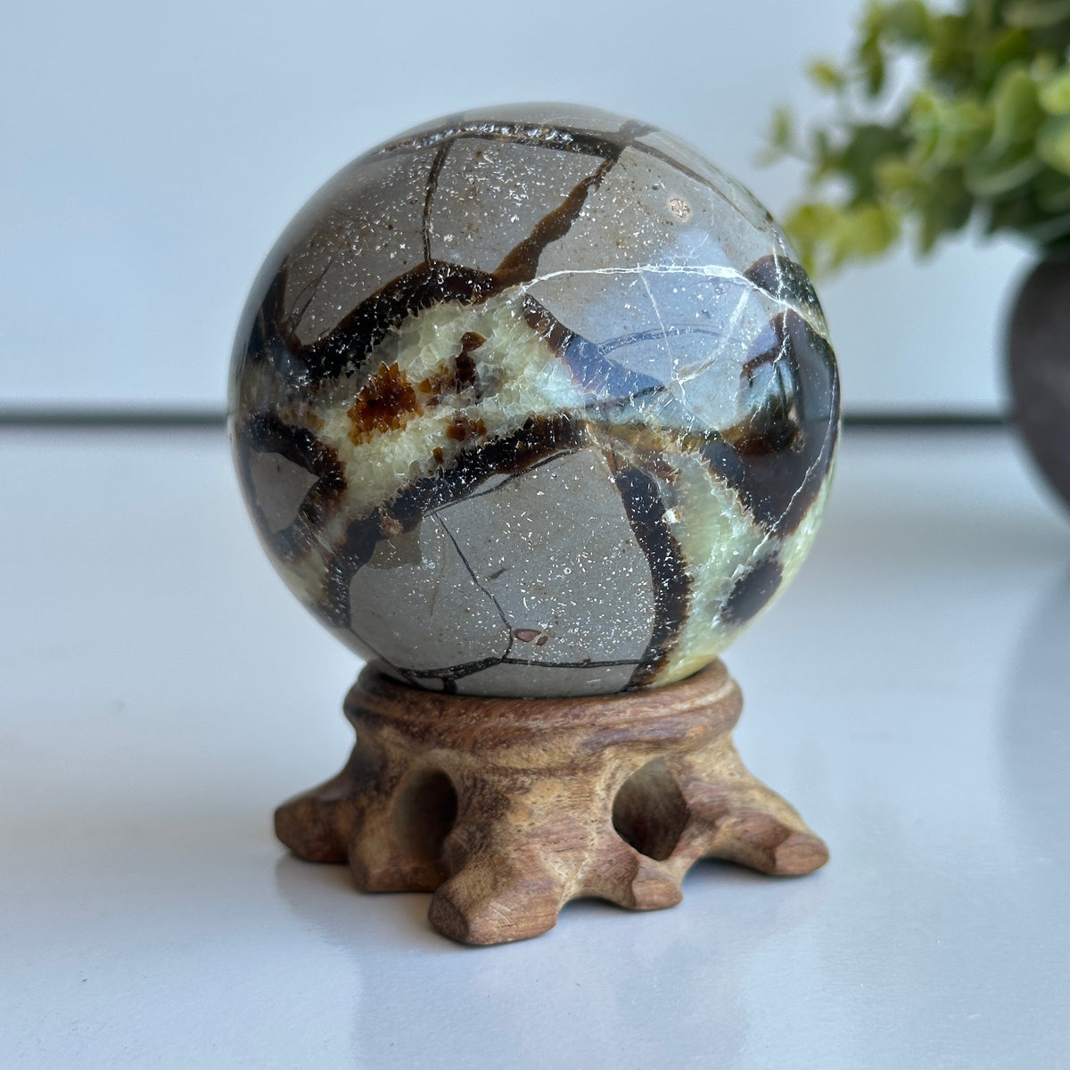Septarian Sphere 6.5cm