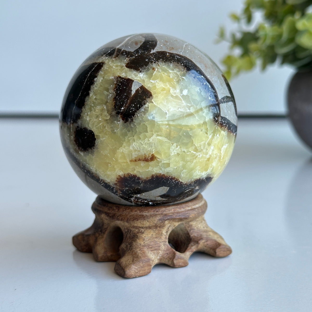 Septarian Sphere 6.5cm
