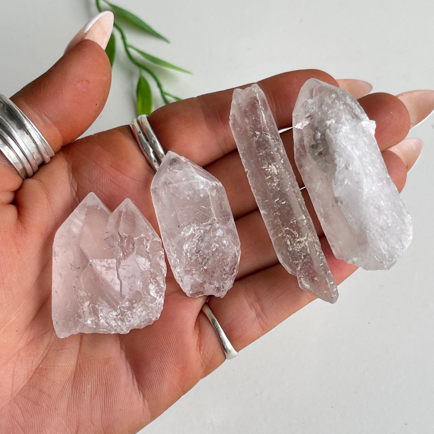 Mixed Clear Quartz Points