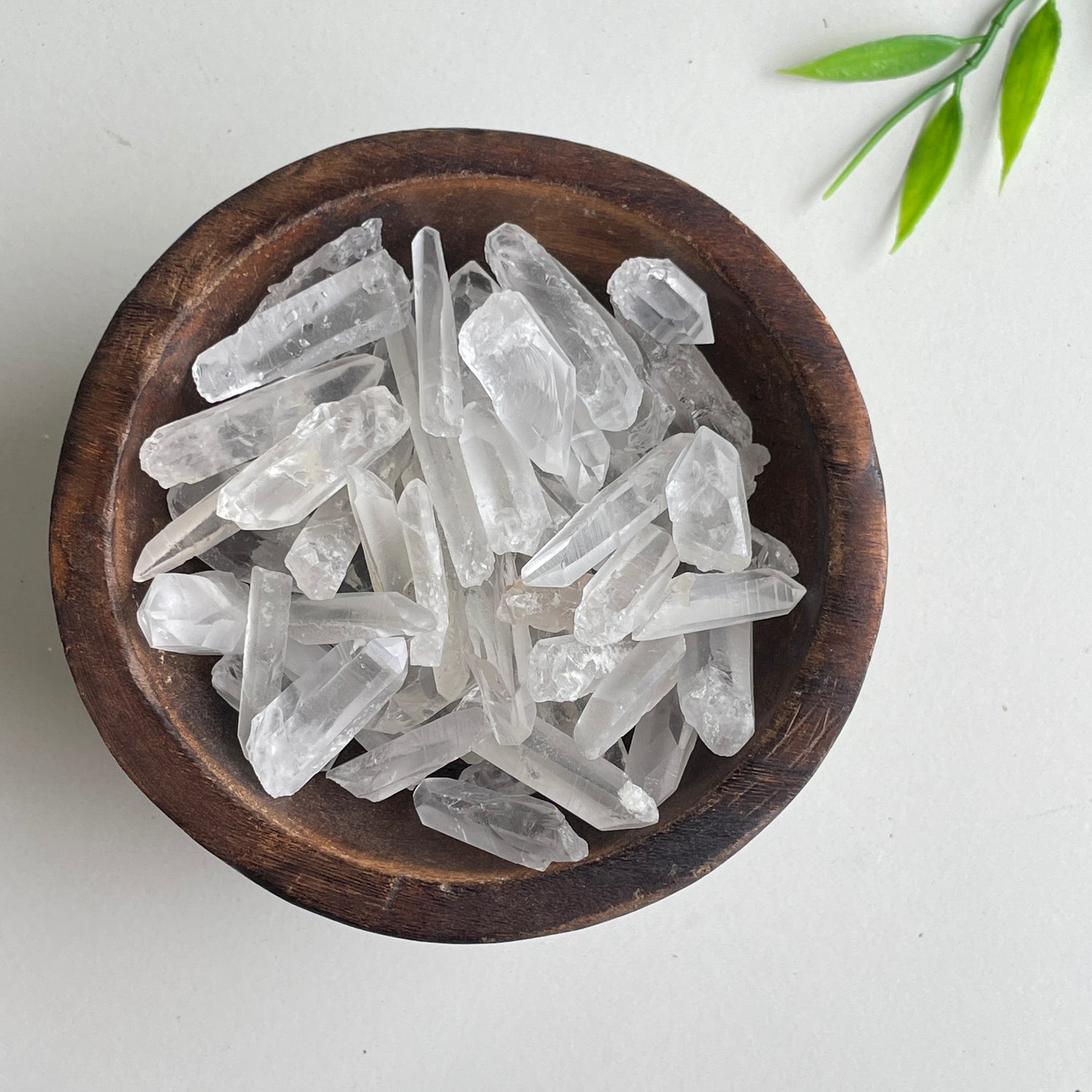 Lemurian Tiny Point