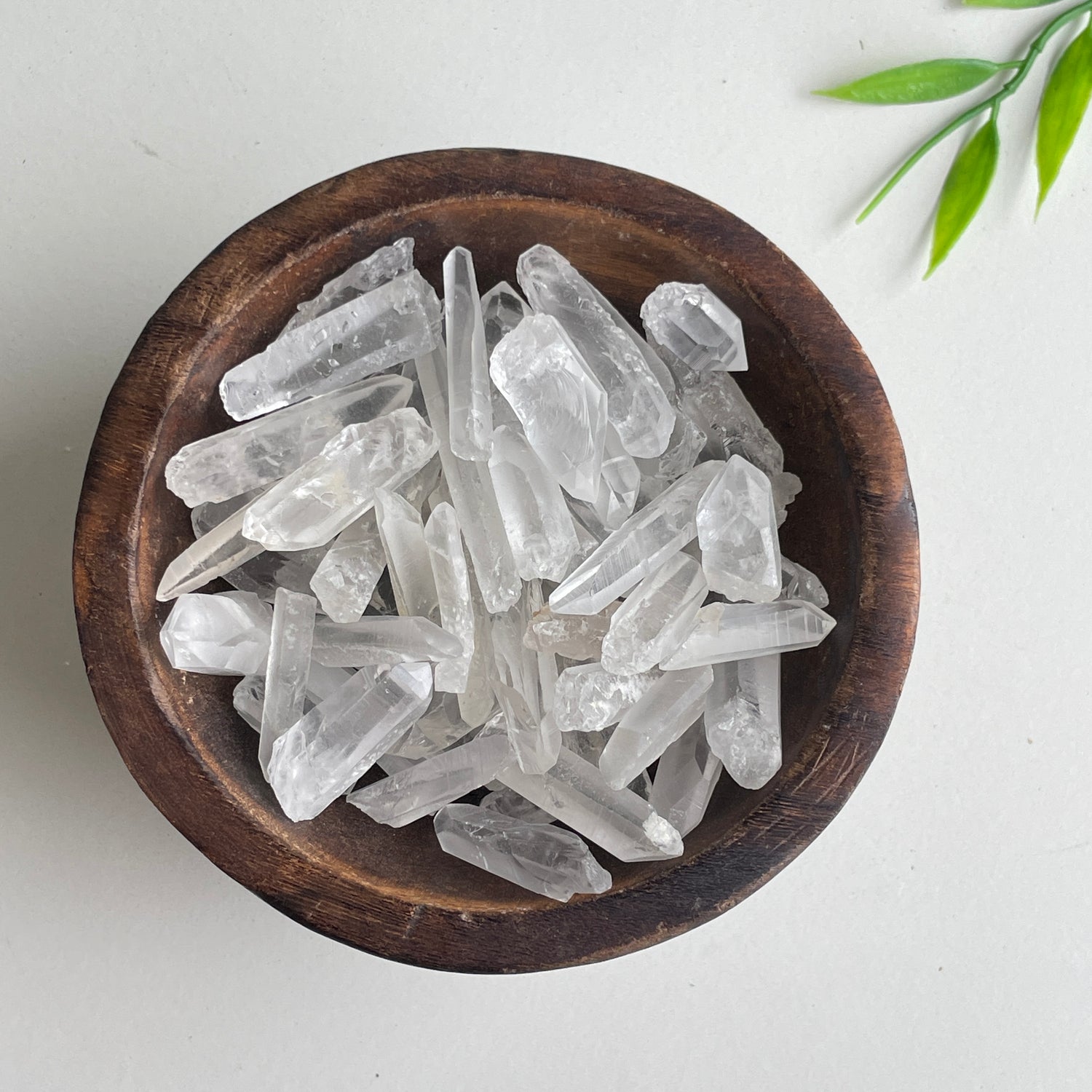 Lemurian Tiny Point