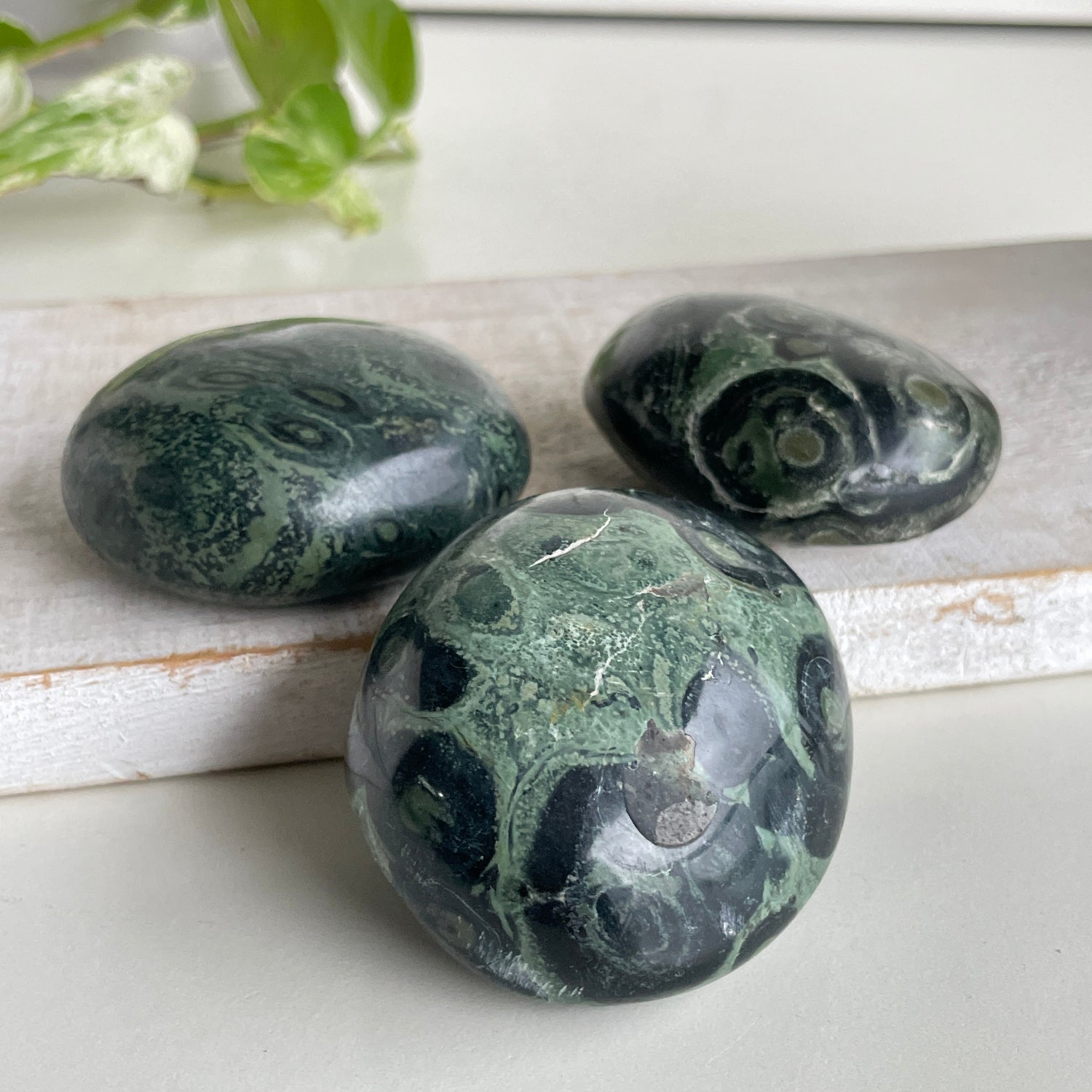 Kambaba Jasper Palmstone Lge