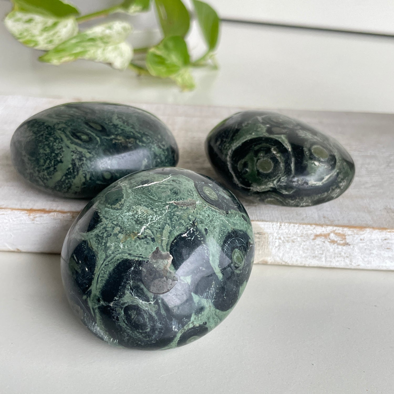 Kambaba Jasper Palmstone Lge