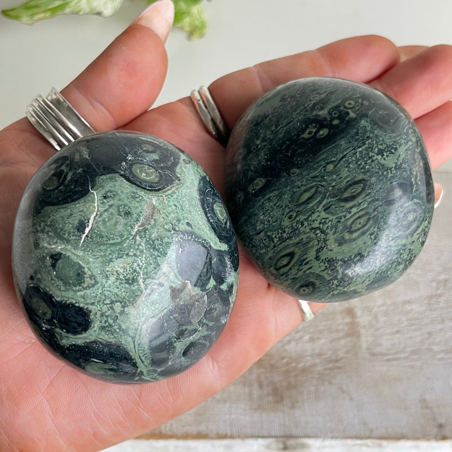 Kambaba Jasper Palmstone Lge