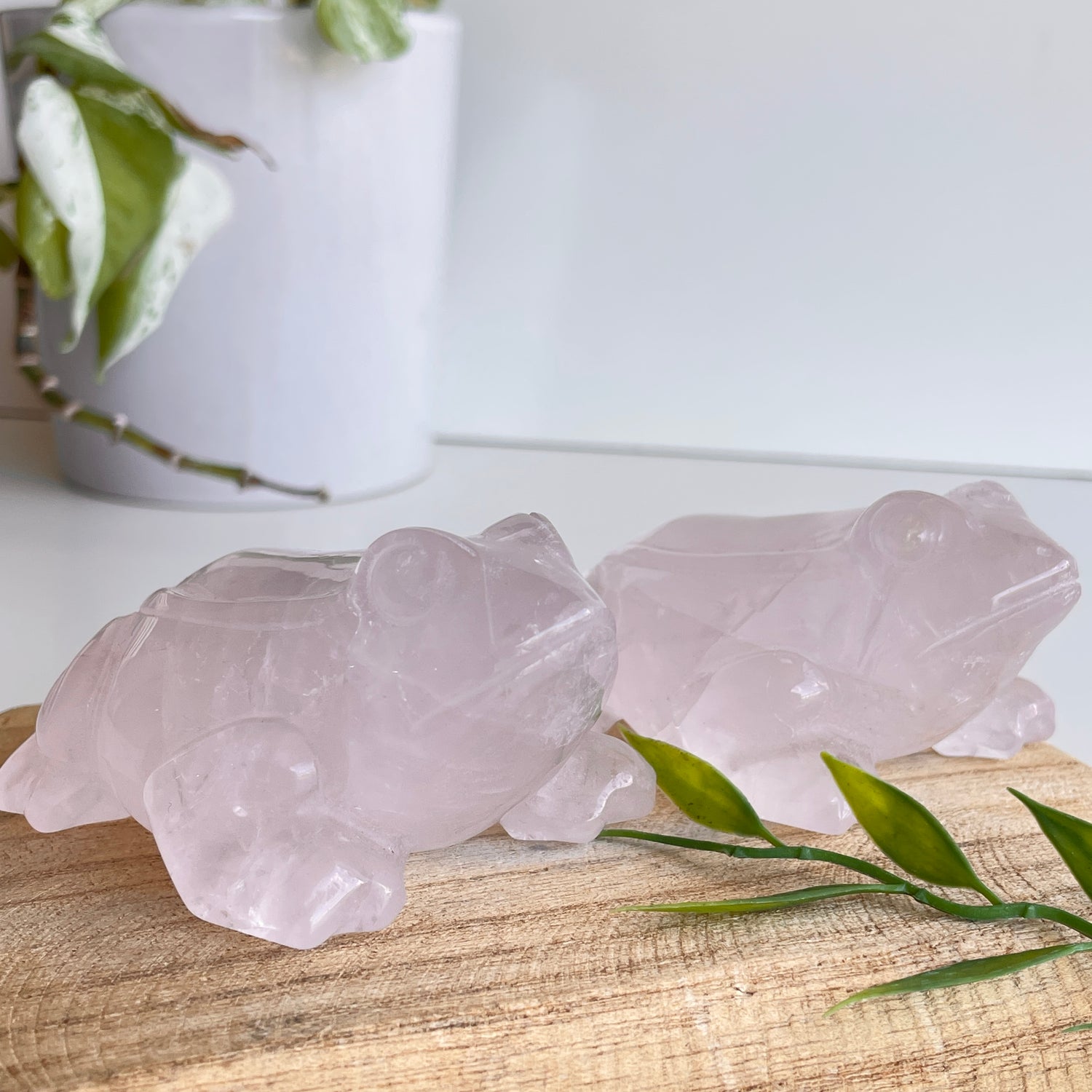 Rose Quartz Frog