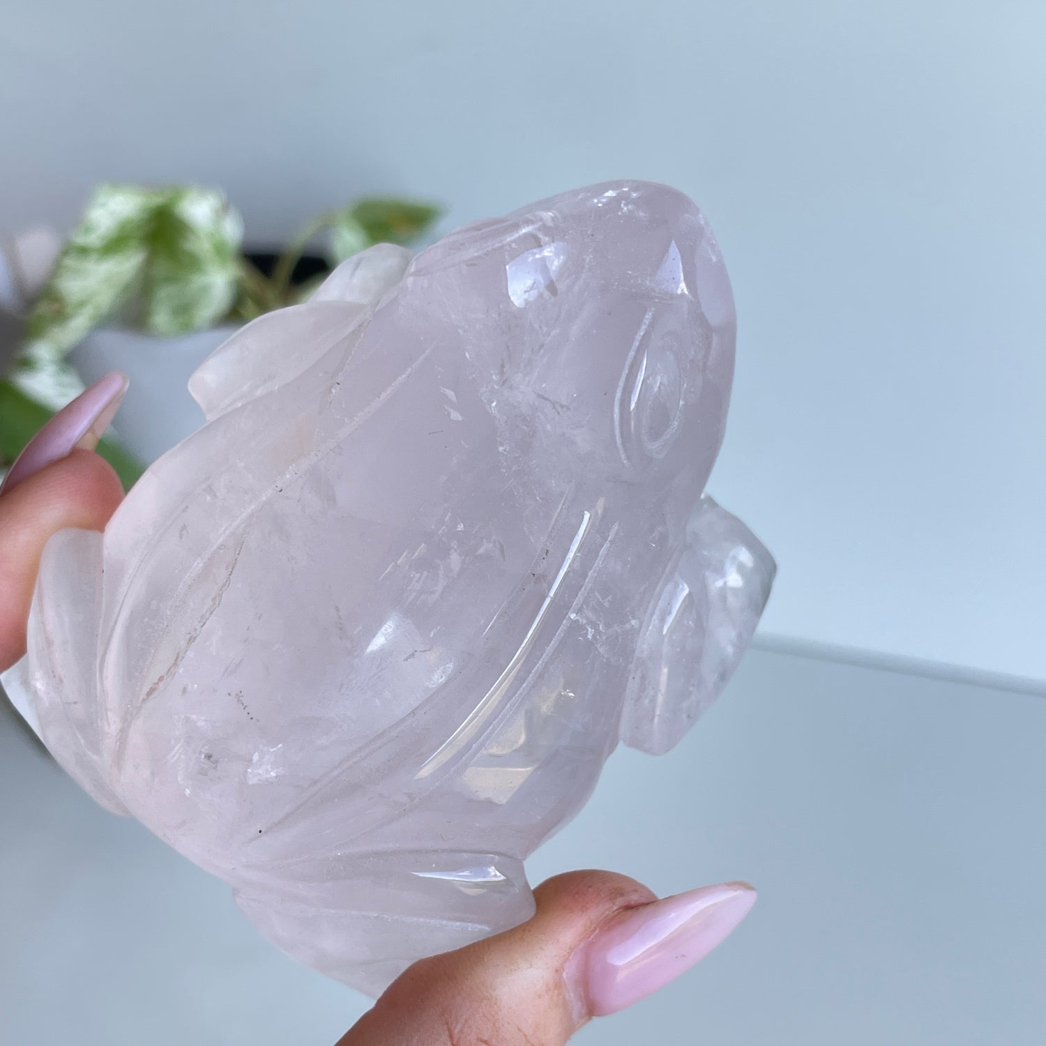Rose Quartz Frog