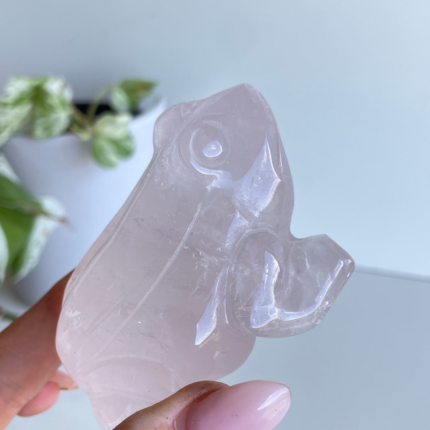 Rose Quartz Frog