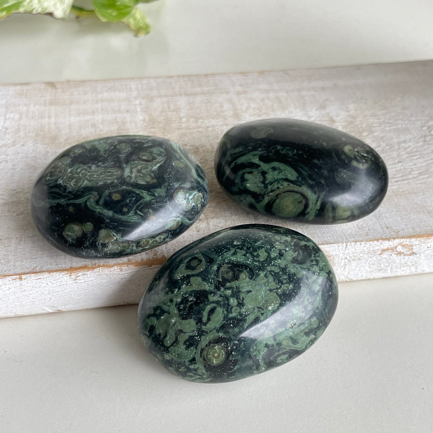 Kambaba Jasper Palm Stone Small
