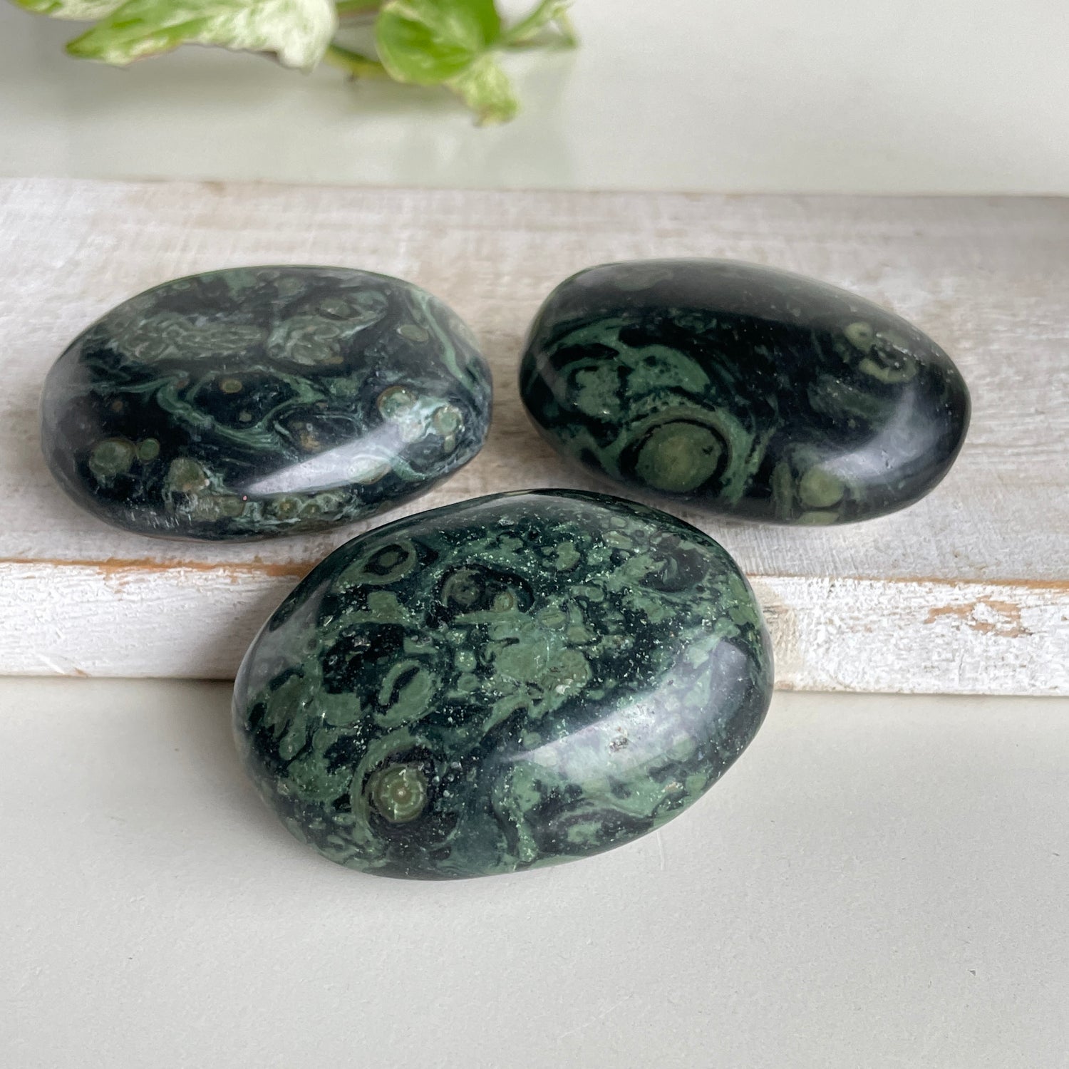 Kambaba Jasper Palm Stone Small