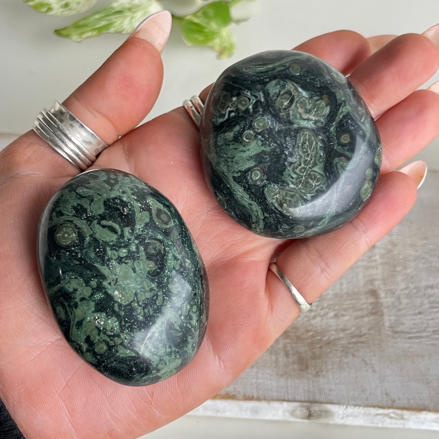 Kambaba Jasper Palm Stone Small