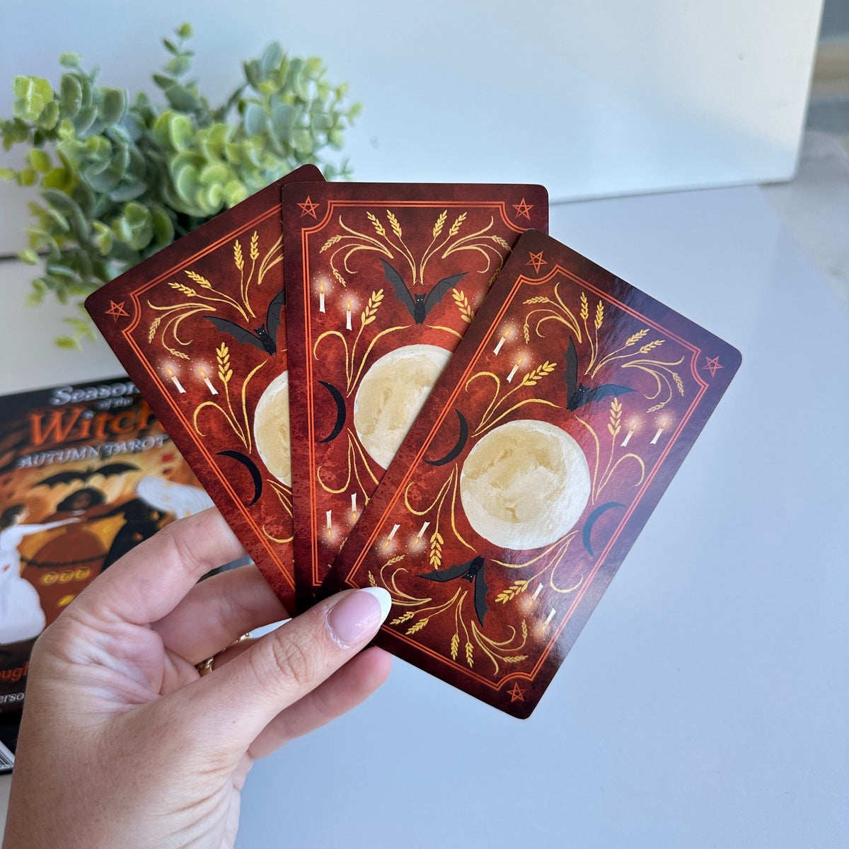 Seasons Of The Witch Autumn Tarot Lorraine Anderson