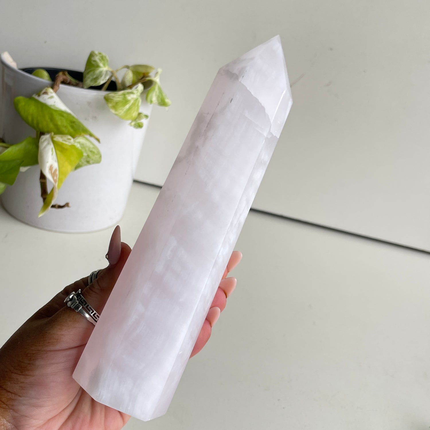 Mangano Generator 18.5cm