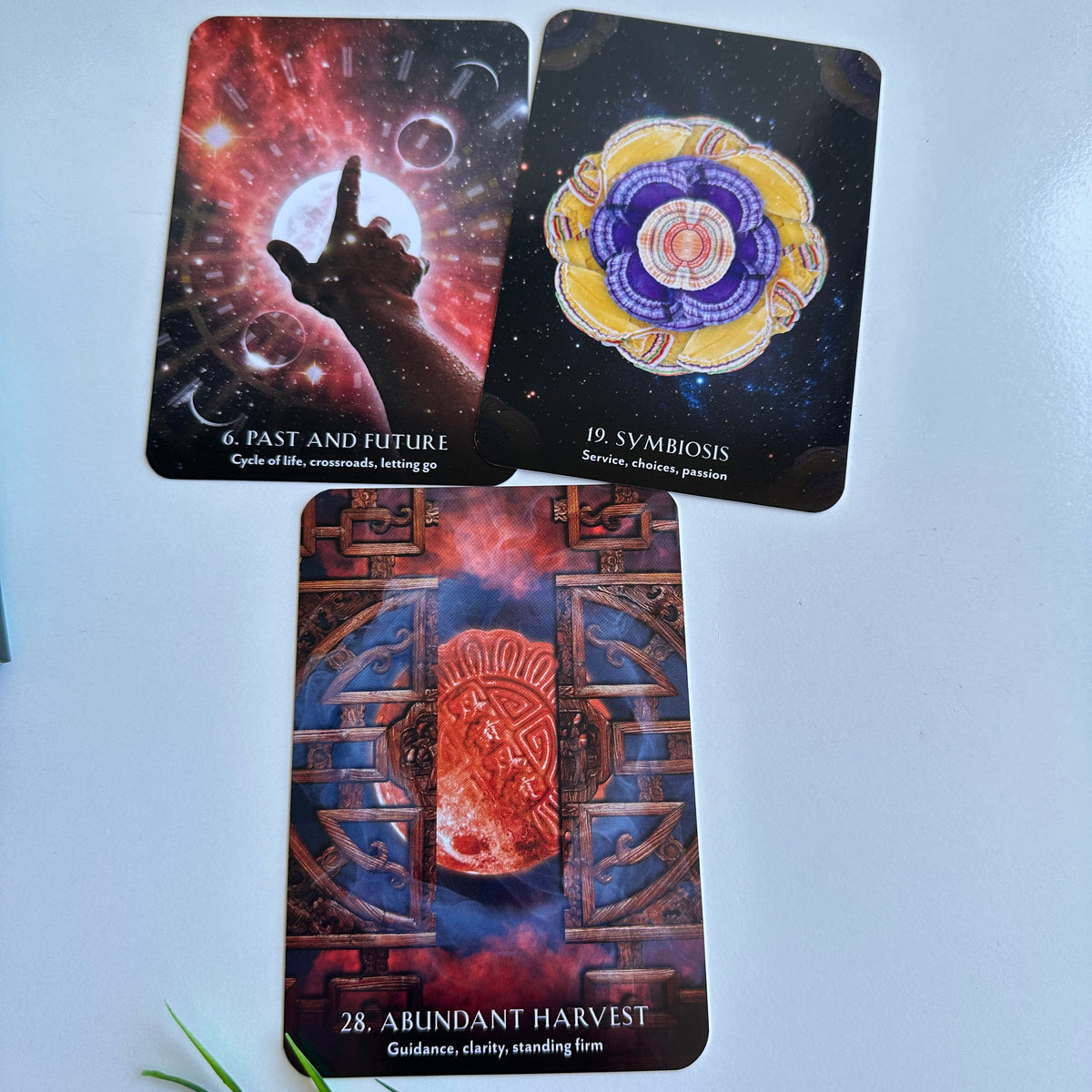 Ritual Earth Oracle Deck Andres Engracia