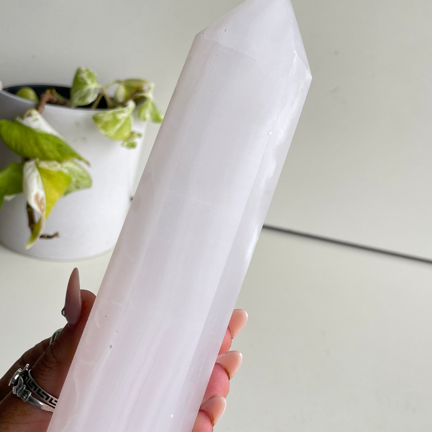 Mangano Generator 19.3cm