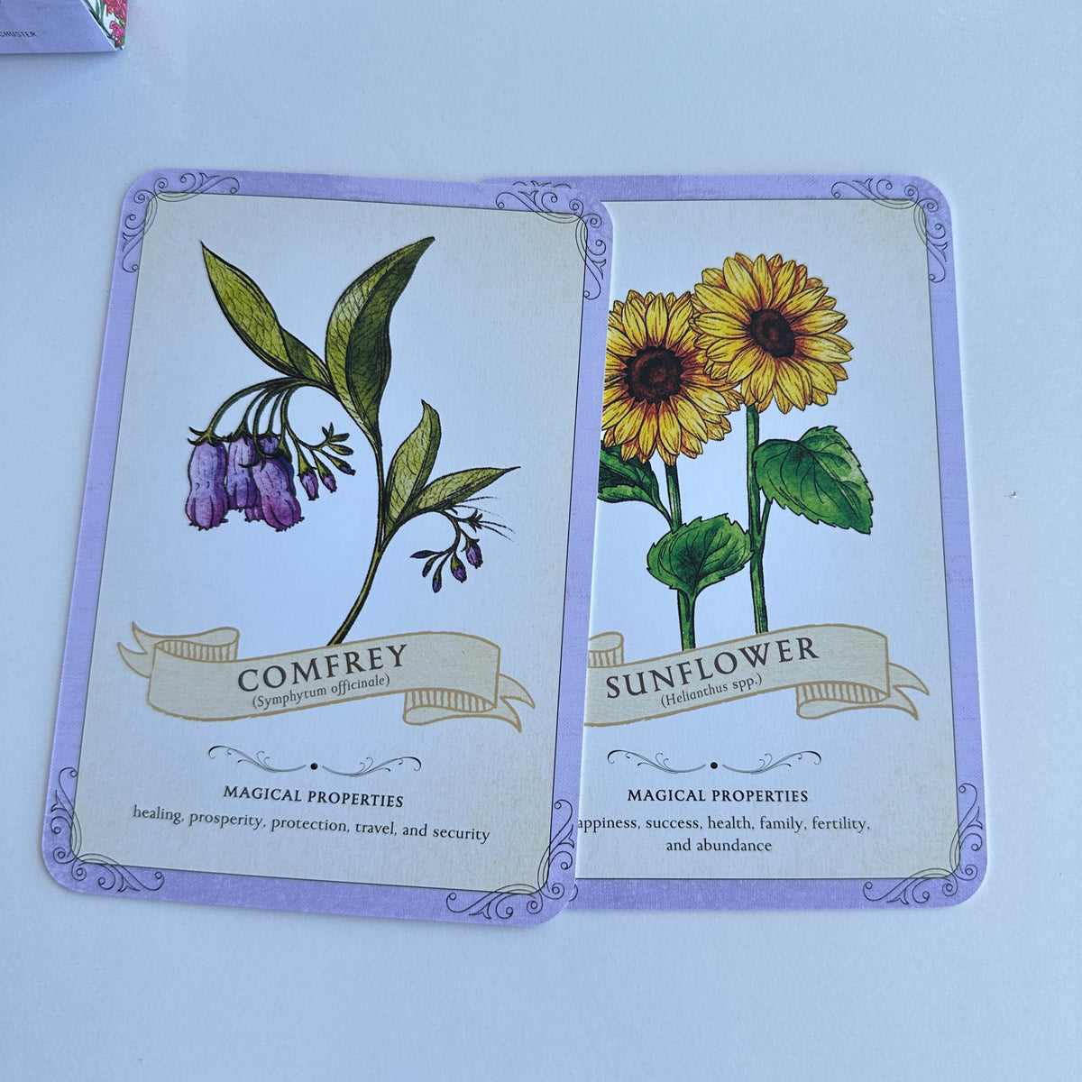 The Green Witch's Deck Of Magical Herbalism Arin Murphy Hiscock